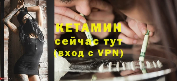 шишки Гусев