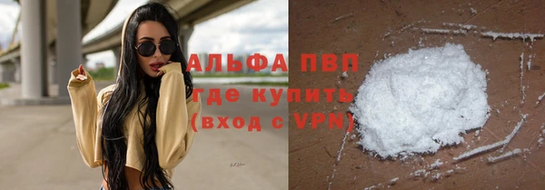 шишки Гусев