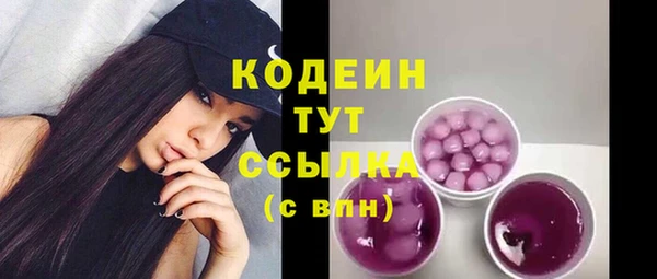 шишки Гусев