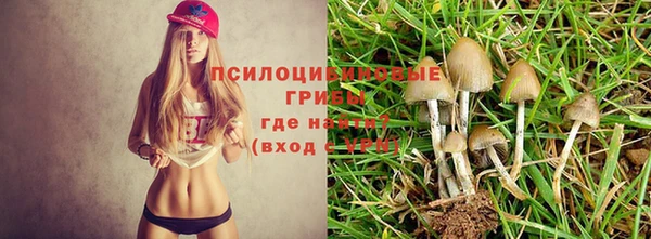 шишки Гусев
