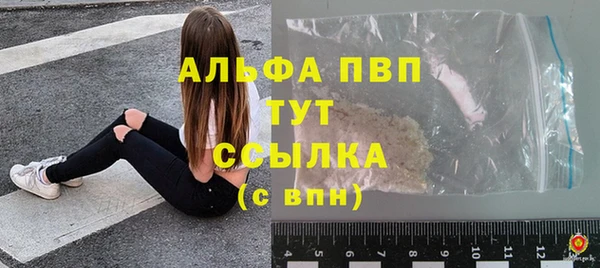 шишки Гусев