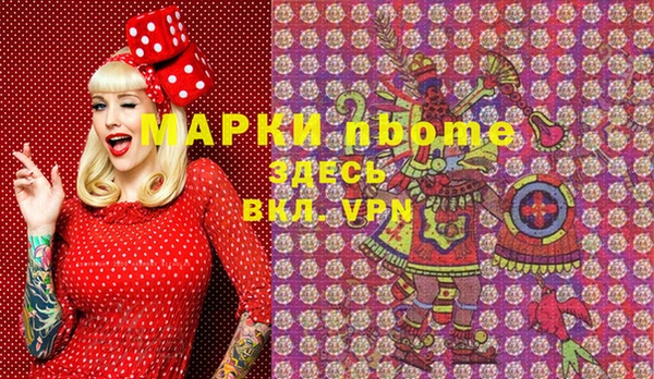шишки Гусев