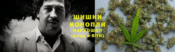 шишки Гусев