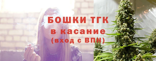 шишки Гусев