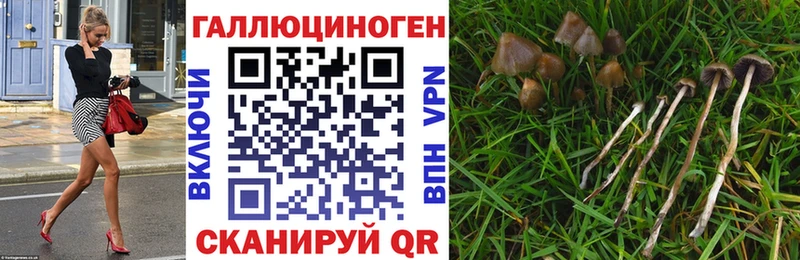 Галлюциногенные грибы мухоморы закладки Меленки